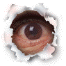 MON OEIL